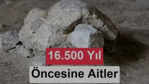 Bilecik Gedikkaya Tepesi’nde 16 bin 500 yıllık kaplumbağa heykelleri
