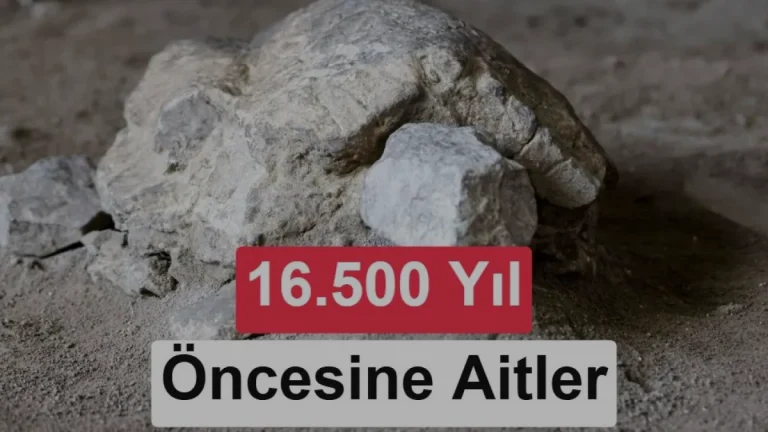 Bilecik Gedikkaya Tepesi’nde 16 bin 500 yıllık kaplumbağa heykelleri