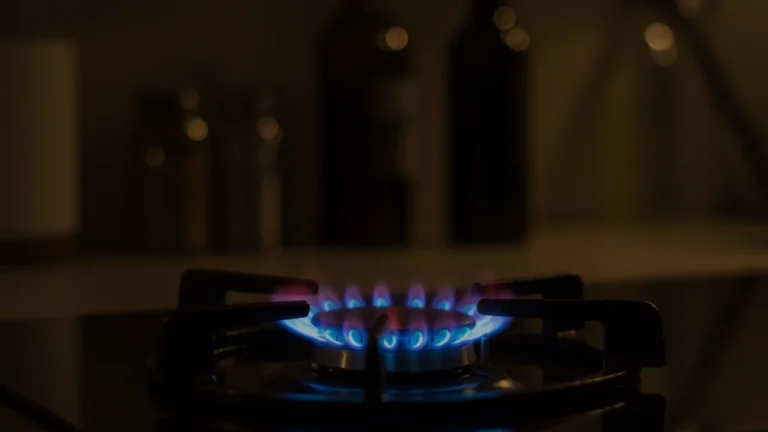 Düzenli doğal gaz desteğinde temmuzda 504 bin hak sahibine ödeme