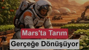 Mantarlar Mars regoliti ile uzay tarımında yeni dönem açabilir