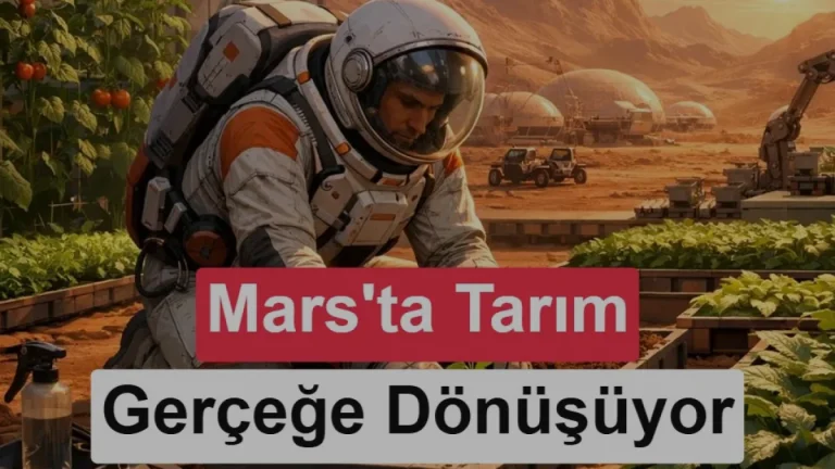 Mantarlar Mars regoliti ile uzay tarımında yeni dönem açabilir