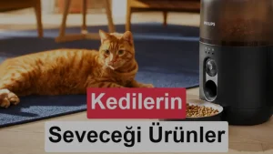 Philips kediler için akıllı su pınarı ve mama kabı tanıttı